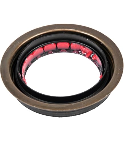 Amazon.com: National 127591 Differential Pinion Seal : Automotive